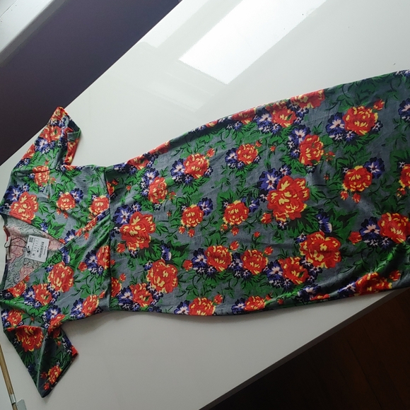 Size small Zara Trafaluc Floral print Crush Velvet Dress - Picture 1 of 6